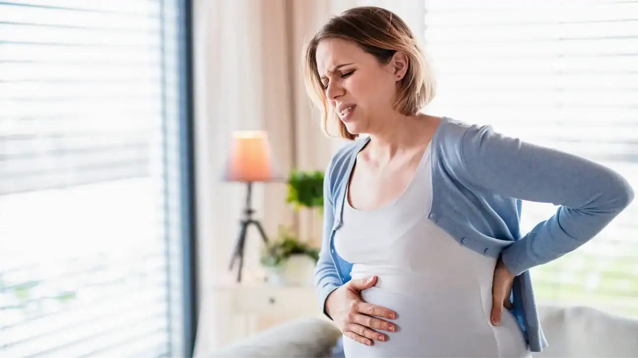 How to Support Your Body During Pregnancy for Faster Postnatal Recovery 2 What Is Actually Happening to Your Abdomen During and After Pregnancy